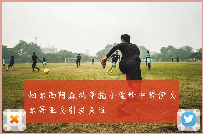 切尔西阿森纳争抢小蜜蜂中锋伊戈尔蒂亚戈引发关注